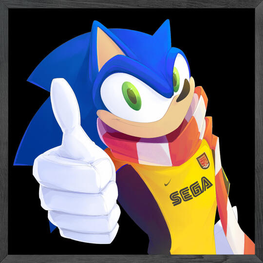 [Sonic]
